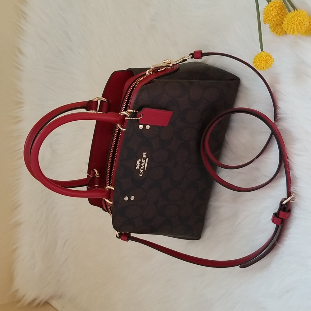 Mini Lillie  Carryall In Sugnature Canvas